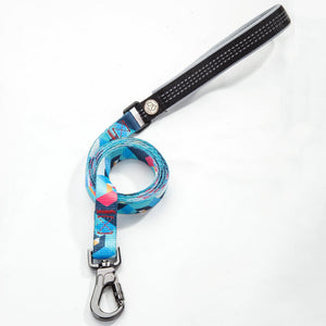 Why the Right Pet Leash Can Transform Your Walks