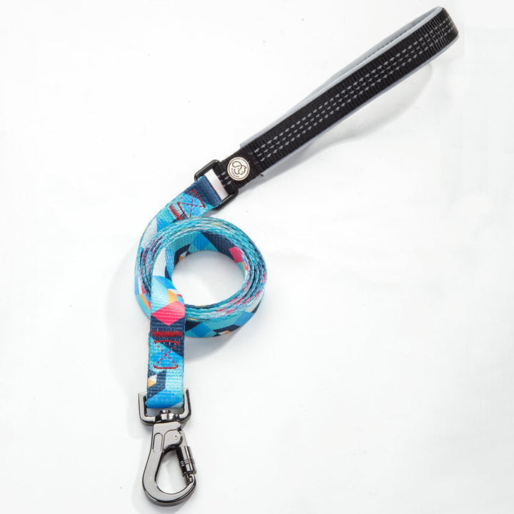 Why the Right Pet Leash Can Transform Your Walks