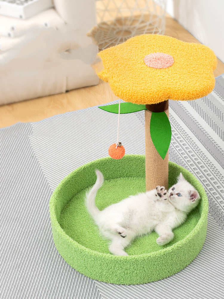 Discover the Joy of Pet Claw Grinding Teasing Toy