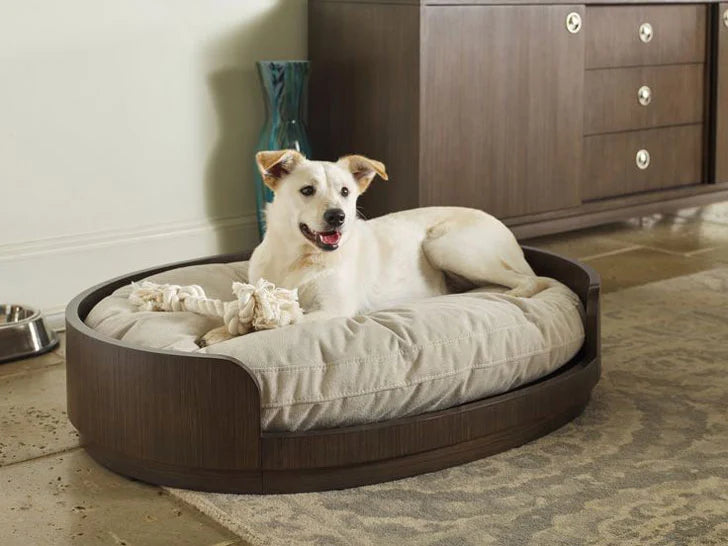 Finding Cozy Pet Beds Easily