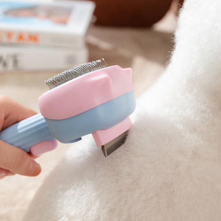 Why Your Pet Deserves the Best Grooming Experience