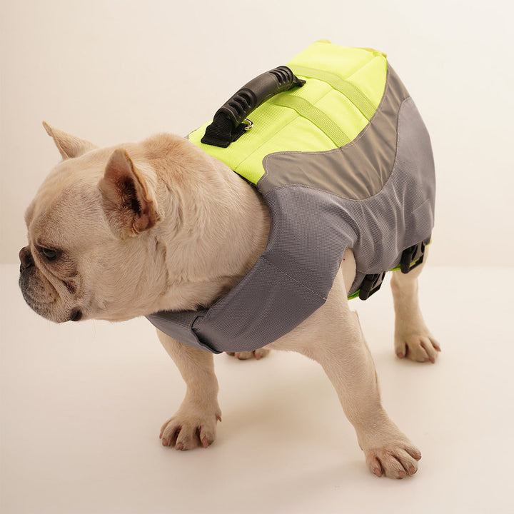 Why You Need the Reflective Pet Life Jacket For Swimming