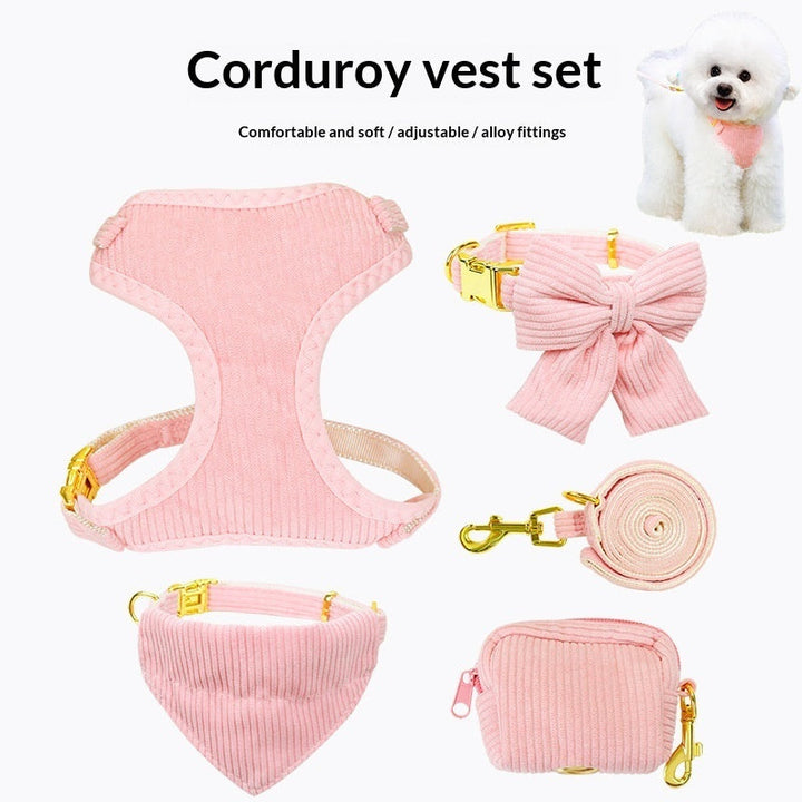 Explore the Great Outdoors with Your Furry Friend