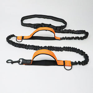Unleash Adventure with Our Pet Adjustable Jogging Harness Collar Leash